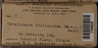 Image Associated With the Occurence
